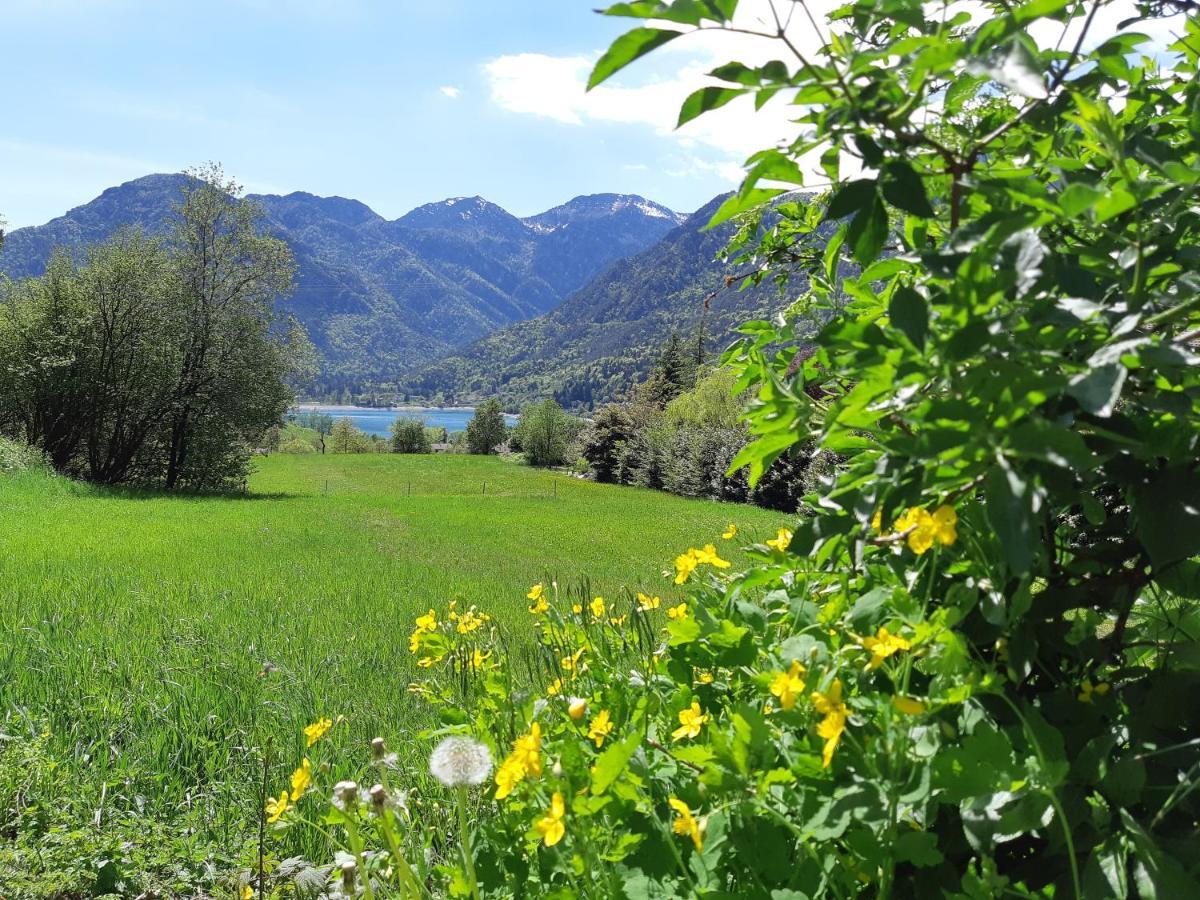 Ledro Nest Lägenhet Mezzolago Exteriör bild